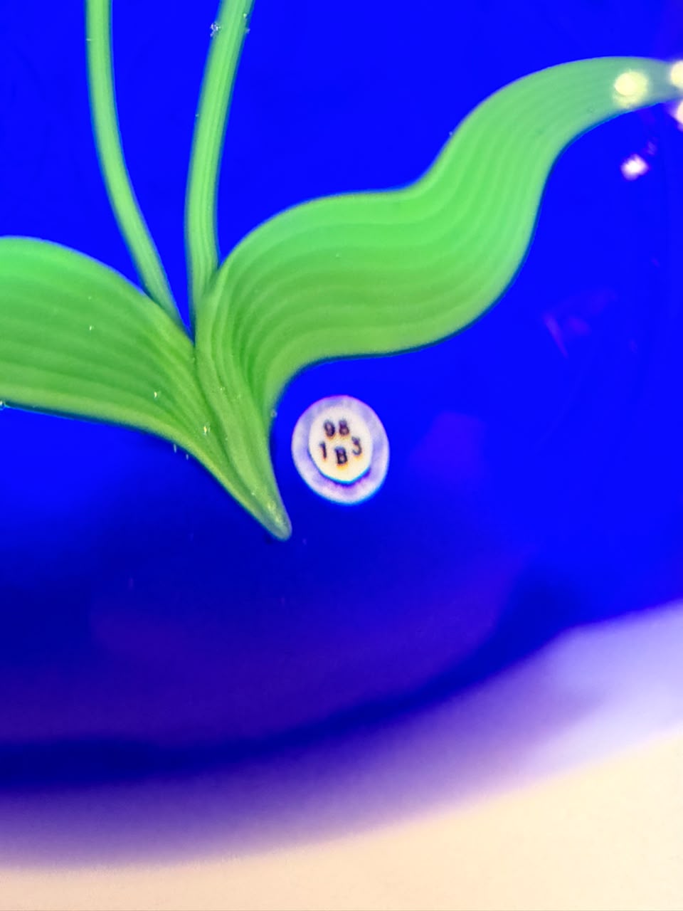 Baccarat — "Campanule Jaune sur Fond Bleu" Edição 57/175, 1983 — vista 4